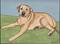 Art: Tanner by Artist Jenny Doss