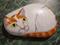 Art: Creamsicle by Artist Tracey Allyn Greene