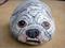 Art: Lilibet the bulldog by Artist Tracey Allyn Greene