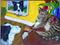 Art: Jacob's Extended Family by Artist Tracey Allyn Greene