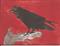Art: The Raven Speaks SOLD by Artist Nancy Denommee   