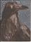 Art: Raven on a Starry Starry Night SOLD by Artist Nancy Denommee   