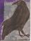 Art: Crow by Artist Nancy Denommee   