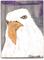 Art: Bald Eagle SOLD by Artist Nancy Denommee   