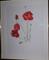 Art: Poppies #1 original framed - SOLD - by Artist Nancy Denommee   