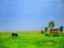 Art: Sunrise (Sold) by Artist Fran Caldwell