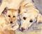 Art: Jytte's Babies by Artist Cathy  (Kate) Johnson
