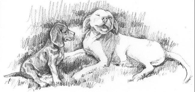 Art: Rocky and Spot by Artist Cathy (Kate) Johnson