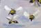Art: Bees Aceo by Artist Delilah Smith