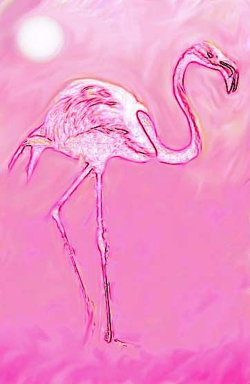 Art: Pink Flamingo by Artist Shawn Marie Hardy