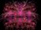 Art: Rasberry Delight by Artist christi lynn schwartzkopf