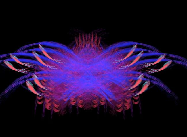Art: Lotus Flower by Artist christi lynn schwartzkopf