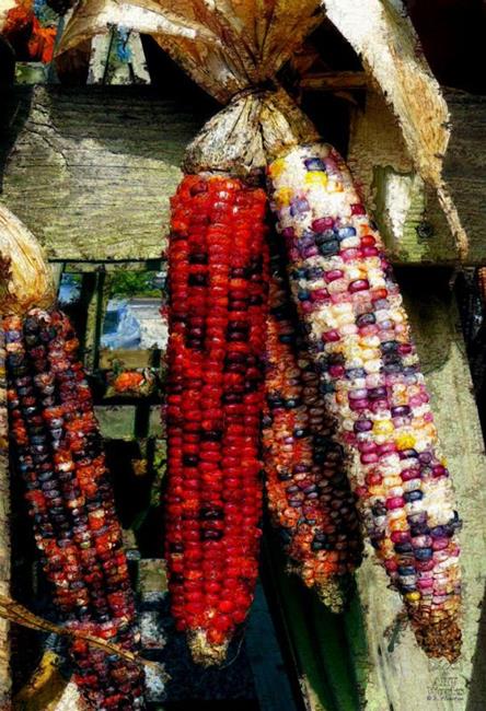 Art: Indian Corn by Artist Deanne Flouton
