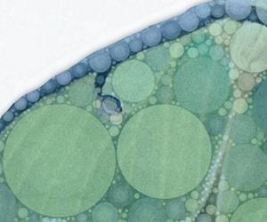 Detail Image for art Luna Rising