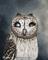 Art: The Seer by Artist Amanda Makepeace