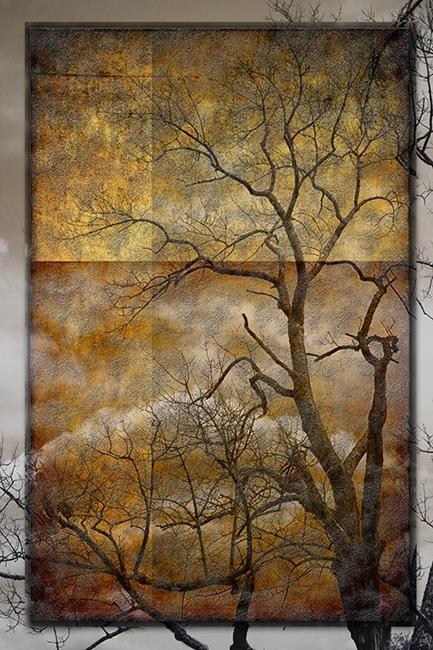 Art: Brown Study with Tree by Artist Carolyn Schiffhouer