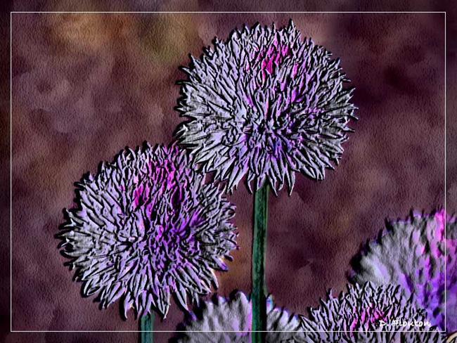 Art: Allium by Artist Deanne Flouton