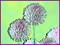 Art: Chives Abstract by Artist Deanne Flouton