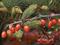 Art: Winter Berries Galore by Artist Deanne Flouton