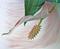 Art: Lily by Artist Deanne Flouton