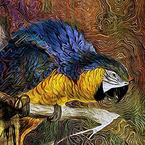 Detail Image for art Blue Macaw
