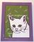 Art: Shelter Kitty Snowball by Artist Jenny Doss