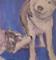 Art: The Way Huskies Play by Artist Virginia Ann Zuelsdorf