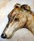 Art: Greyhound  by Artist Laurie Justus Pace