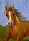 Art: Horse-SOLD by Artist Delilah Smith