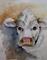 Art: White Cow by Artist Delilah Smith