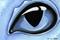 Art: Eye Of Baby Blue by Artist Elaina Wagner