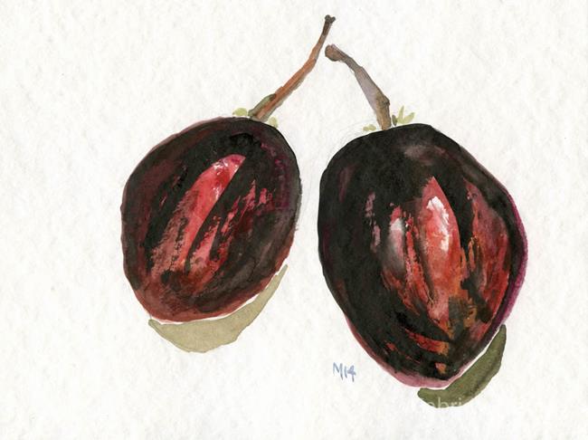Art: Tomatillos by Artist Gabriele Maurus