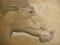 Art: Horse by Artist Richard R. Snyder
