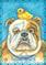 Art: BULLDOG AND CHICK by Artist Susan Brack