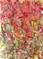 Art: Abstract  Floral by Artist Ulrike 'Ricky' Martin