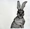 Art: Evil Bunny - Series 4 by Artist Aylan N. Couchie