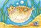 Art: PUFFER KITTY FISH by Artist Susan Brack