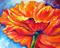 Art: POPPY SPLASH by Artist Marcia Baldwin