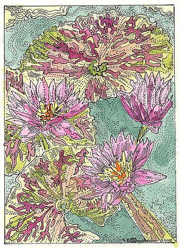 Art: Waterlily by Artist Theodora Demetriades