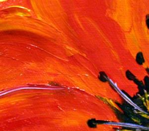 Detail Image for art Small Red Poppy