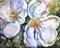 Art: White Poppies Summer 2006 by Artist Laurie Justus Pace
