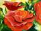 Art: Thanksgiving Poppies by Artist Laurie Justus Pace