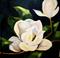 Art: Magnolia Double B by Artist Laurie Justus Pace