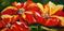 Art: Trio of Red Poppies by Artist Laurie Justus Pace