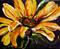 Art: Sunburst by Artist Laurie Justus Pace