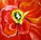Art: California Red 3 by Artist Laurie Justus Pace