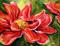 Art: Holiday Red by Artist Laurie Justus Pace