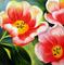 Art: Spring Tulips by Artist Laurie Justus Pace
