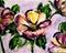 Art: Purple Flowers Fourth in the Series of Backyard Blooms by Artist Laurie Justus Pace