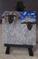 Art: Curly Sheep Duo SOLD by Artist Nancy Denommee   